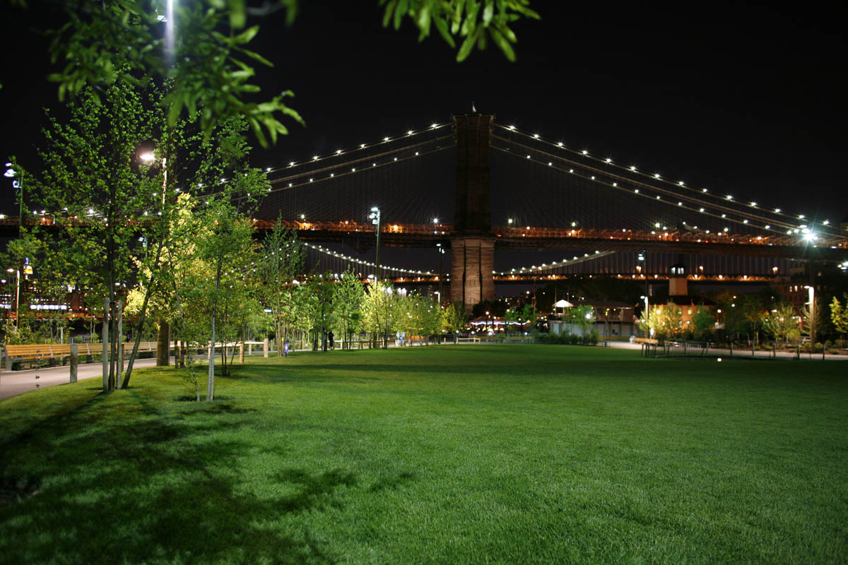 Here's Brooklyn Bridge Park's Lineup Of Summer Movie Screenings